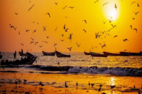 Afryka naturalnie dzika